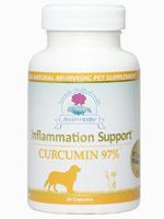 Ayush Herbs - Curcumin 97% Vet 90 tabs