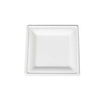 Go-Green Eco-Friendly 100% compostable, Sugarcane Fiber, Disposable Square Plate (125, 6inch)