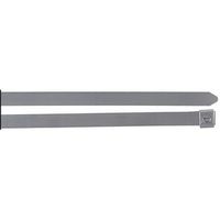 Thomas and Betts TR SS10250 CABLE TIE 302/304 SST 1/ (Pack of 100)