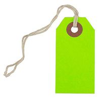 JAM PAPER Gift Tags with String - Tiny - 2 3/4 x 1 3/8 - Neon Green - Bulk 100/Pack