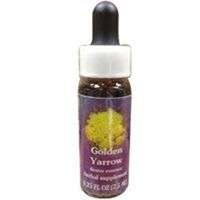 Golden Yarrow Dropper, 0.25 oz by Flower Essence Services (Pack of 3)
