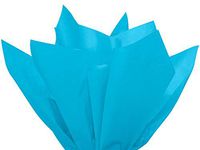 Turquoise Blue Tissue Paper Squares, Bulk 24 Sheets, Premium Gift Wrap and Art Supplies for Birthdays, Holidays, or Presents by Feronia packaging, Large 20 Inch x 26 Inch