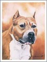 American Staffordshire Terrier Notecards by Ruth Maystead