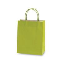 Paper Gift Bags 6ct 10.5"x12.5"x5.5" (Lime)