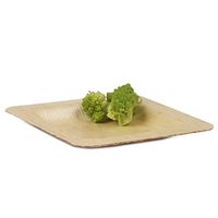 PacknWood Square Bamboo Leaf Plate