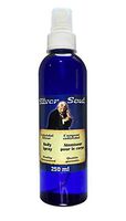 Silver Soul Enhanced Immune System Support | Natural Antibacterial Anti-Viral Silver Liquid | Pure 13 PPM Ionic Silver Water | Daily Mineral Supplement | Safe for Pets (8.4 FL Oz.)