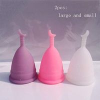 LWWOZL Menstrual Cup Recommended Period Cup Women's Moon Cup Environmental Hygiene Cups | Large and Small Size 2 |Leak Free (Color : Purple)
