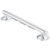 Moen R8716D1GCH Home Care 16-inch Grab Bar, Chrome