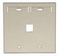 Leviton 42080-1IP 1-Port Dual Gang QuickPort Wallplate with ID Windows, Ivory