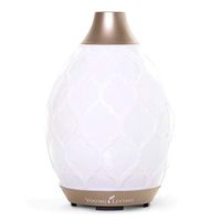 Young Living Essential Oil Home Ultrasonic Desert Mist Diffuser