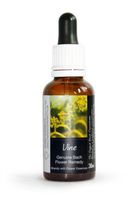Vine Bach Flower Remedy Large 30ml. Genuine Traditionally Made Essence