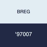 BREG '97007 Stirrup Ankle Foam Liner Lightweight Adjustable Heel Pad Vertical Side Strap Swivel Strap with Shells