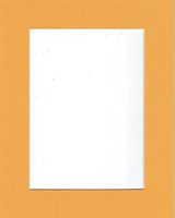 18x24 Sun Yellow Picture Mats Mattes with White Core Bevel Cut for 13x19 Pictures