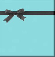 Solid Aqua Beach Sea Blue Gift Wrap Wrapping Paper-15ft Roll w. Gift Tags