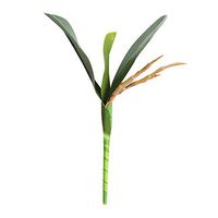 scamper Phalaenopsis Leaf Flower Orchid Artificial Leaves Potted Plant Home Office Decor Fake Succulents Assorted Succulent