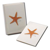 Earth Sky + Water - Sea Star Notecard Set - 8 Blank Cards with Envelopes