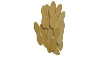 Perfect Stix Wooden Taster Spoons 2.5" Length ( pack of 10000)