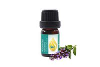 Clary Sage (Salvia sclarea) Essential Oil, 100% Pure, Therapeutic Grade 10ml (1/3 oz)