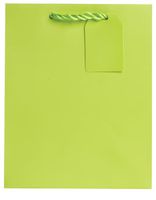 Jillson Roberts Bulk Medium Gift Bags Available in 19 Colors, Lime Matte, 120-Count (BMT941)