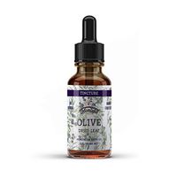 Organic Olive Leaf Tincture, Olive Extract Liquid (Olea europaea) Dried Leaf Herbal Supplement, Non-GMO in Cold-Pressed Organic Vegetable Glycerin, 700 mg, 4 oz (120 ml)