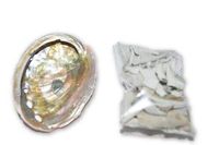 Nature's Enlightenment Mini Smudge Travel Kit - Abalone Shell and White sage -