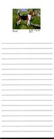 Beagle Magnetic List Pads - Set of 2