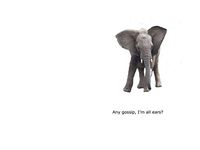 Blank Notecard - Gossip- All Ears