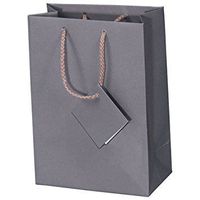10 Pack Large Gray Matte Finish Solid Shopping Paper Gift Sales Tote Bags with Blank Message Tag 8" x 5" x 10" Inches- By R J Displays