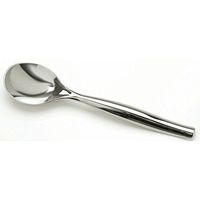 Silver Metal-Look Disposable Serving Spoon - 10"L