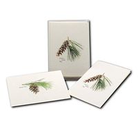 Earth Sky + Water - Pinecone Assortment Notecard Set - 8 Blank Cards with Envelopes (4 Each of 2 Styles)