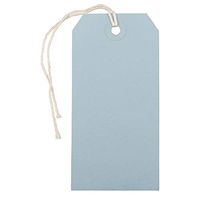 JAM PAPER Gift Tags with String - Medium - 4 3/4 x 2 3/8 - Baby Blue - Bulk 100/Pack