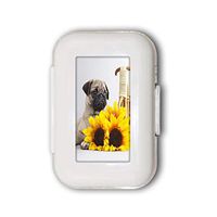 Pug Pill Box,Pill Organizer Case for Purse Daily/Weekly Unique Design and Large Compartments Medicine Case, Pill Box for Pocket or Purse