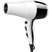 QAZWSXE Home Hair Dryer,Hair Dryer,Hair Dryer Portable Intelligent Constant Temperature Overheat Protection Environmentally Friendly ABS Material Noise Reduction Design Hook Design