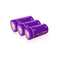 C zise lisocl2 Battery er26500 3.6v for Meters Under Extreme Temperature 3PCS