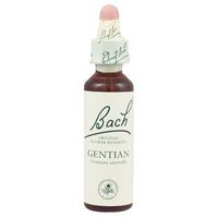 Bach Original Flower Remedies Gentian 20ml by Bach Original Flower Remedies