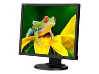 Eizo Tech. 19IN TFT LCD 1280X1024 250CD/M2 (L795-BK)