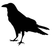 ELKS Unique Design Raven Bird Silhouette, Decal CAR Sticker, Black, 8 in, Die Cut Vinyl Decal, for Windows, Cars, Trucks, Toolbox, Laptops, MacBook-virtually Any Hard Smooth Surface