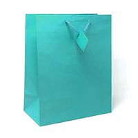 Allgala 12PK Value Premium Solid Color Paper Gift Bags (13"LG-Turquoise-GP50132)