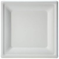 AmazonBasics Compostable Square Plates, 8-Inches, Pack of 500