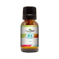 Mayan’s Secret- Cake - Premium Grade Fragrance Oil (30ml)