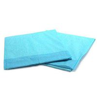 Platinum Care Pads Disposable Underpad, Blue (Chux) (17 Inches X 24 Inches 300 Per Case)