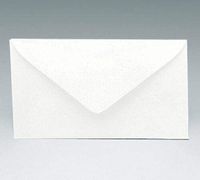 125 ct. White Florist Enclosure Card ENVELOPES RSVP 2-1/2" x 4-1/4"- Small White Red Birthday Anniversary Special Occasion Gift Party Favor
