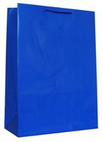Hallmark's Blue Gift Bag - 3KHB 264J