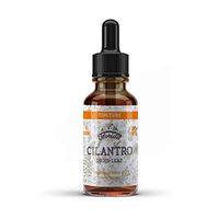 Cilantro Tincture, Organic Cilantro Extract (Coriandrum Sativum) Dried Leaf Herbal Supplement, Non-GMO in Cold-Pressed Organic Vegetable Glycerin, 700 mg, 4 oz (120 ml)
