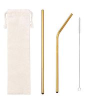 2 Pcs Reusable Metal Straws, Stainless Steel Straws Gold