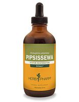 Herb Pharm Pipsissewa Liquid Extract for Urinary System Support - 4 Ounce
