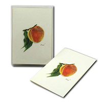 Earth Sky + Water - Peach Notecard Set - 8 Blank Cards with Envelopes