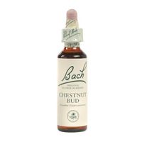 Chestnut Bud (20mL) Brand: Bach