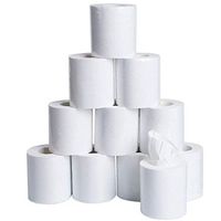 Toilet Paper 10 Rolls Ultra Soft 4-Layers,Gentle Toilet Tissue Paper Enviro Friendly Bath Paper (Pack of 10)
