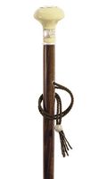 M'Lady Women's Designer Walking Stick